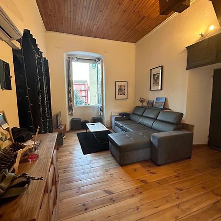 Appartement Cosy Place Paoli 科尔特 外观 照片