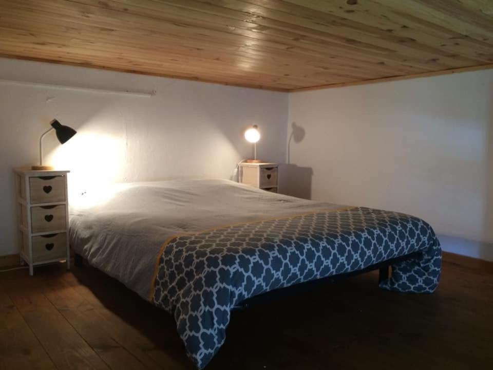 Appartement Cosy Place Paoli 科尔特 外观 照片
